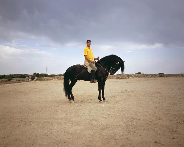 Series Genets - Manuel Pinar