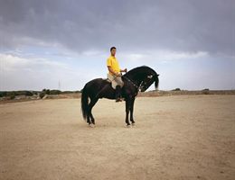 Series Genets project by Manuel Pinar