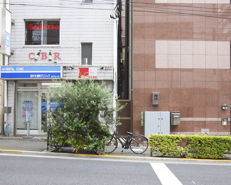 Yosekiritsu, urban density and building ratios in Tokyo, photograph by Manuel Pinar